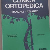 Clinica Ortopedica Morlacchi 