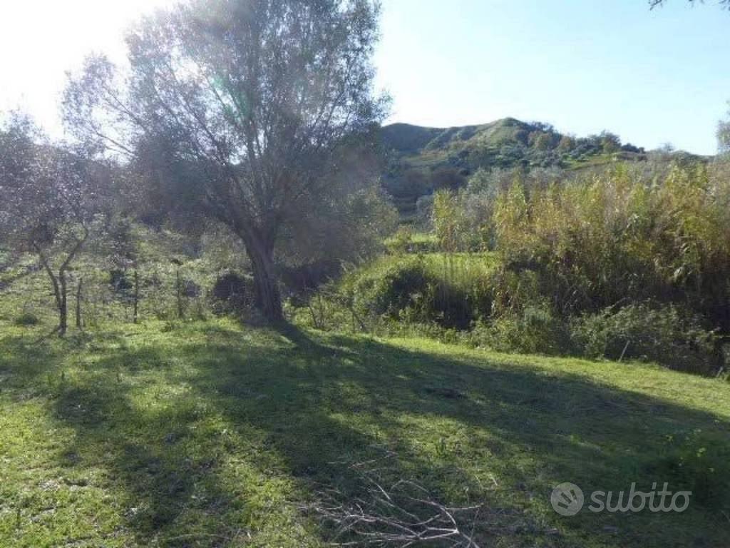 Immobile in asta di 6430 m² a Casignana - Vista 4