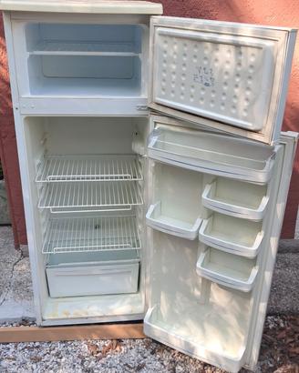 frigo