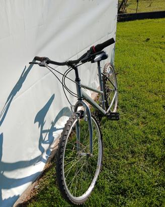 bici donna