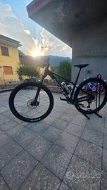 scoot scale 