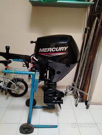 Mercury 20 CV come nuovo – Motore fuoribordo