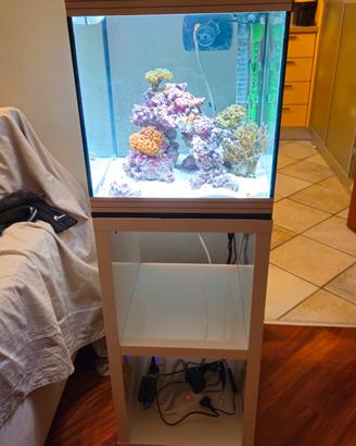 Acquario mini reef askoll pure kit M