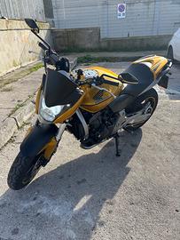 Hornet 2007
