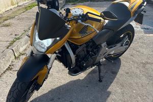 Hornet 2007