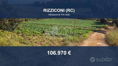 Immobile in asta di 8975 m² a Rizziconi