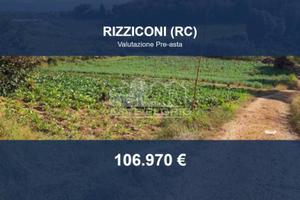 Immobile in asta di 8975 m² a Rizziconi