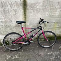 Bicicletta BIANCHI RAGNO