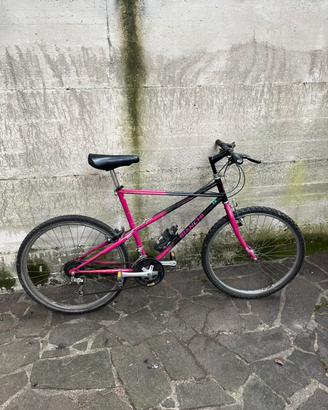 Bicicletta BIANCHI RAGNO