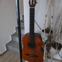 chitarra stagg 