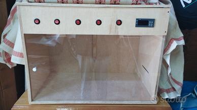 Pappagalli parrocchetti