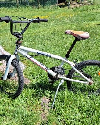 bmx dino