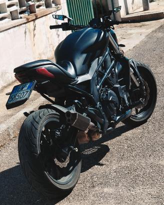 benelli 502c 2021