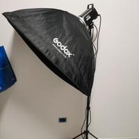 Flash Godox MS 300