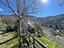 Immagine 25