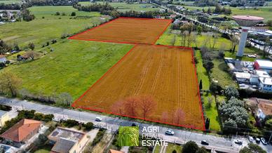 Terreno agricolo di 4 ettari fronte strada