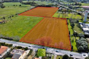 Terreno agricolo di 4 ettari fronte strada