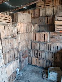 cassette il legno per la frutta