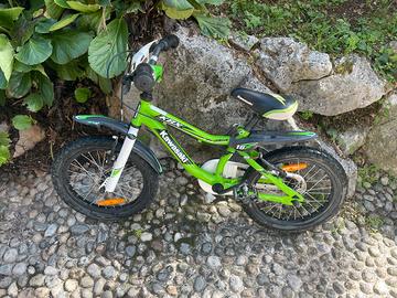 Bicicletta bimbo