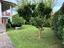 Immagine 18