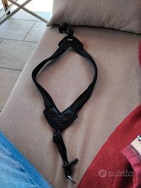 guinzaglio cane