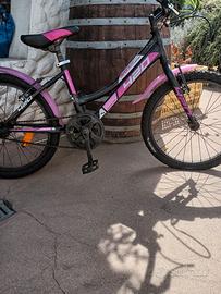 Bicicletta da donna e da bambina