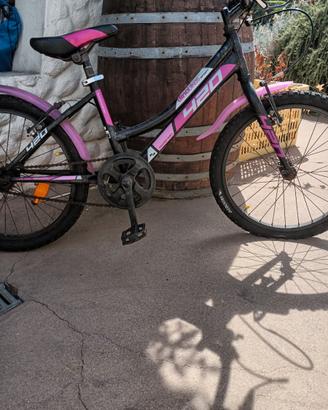 Bicicletta da donna e da bambina