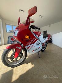 Piaggio Altro modello - 1988