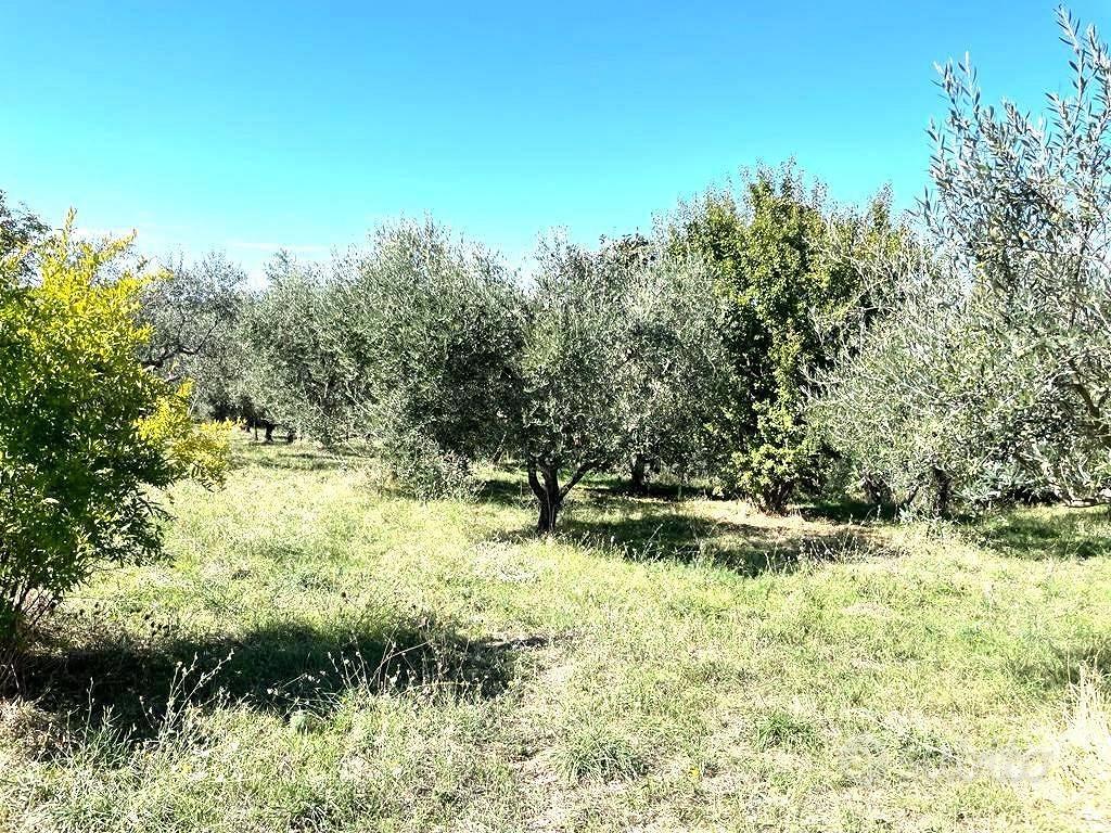 Terreno di 3500 m² a Viterbo - Vista 5