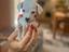 Immagine 4