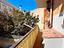 Immagine 11