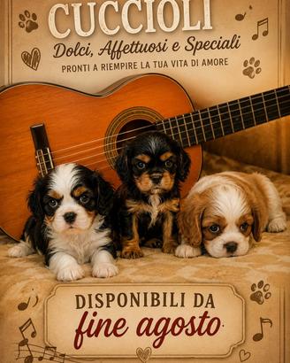 siamo quasi pronti