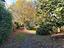 Immagine 28