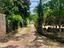 Immagine 12