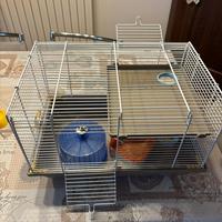 Gabbia per criceto