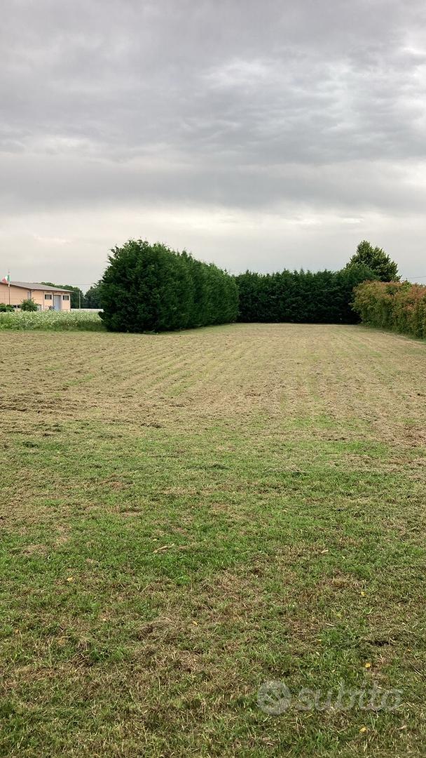 Vendita terreno con rudere - Altro