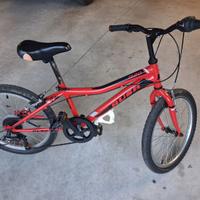 bici con ruote 20 pollici