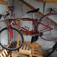 mountain bike mtb ragazzo