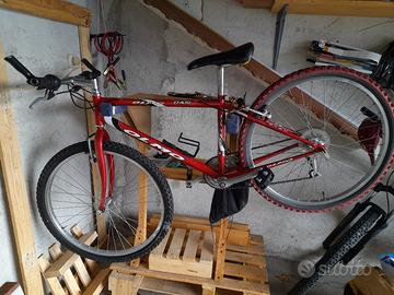 mountain bike mtb ragazzo