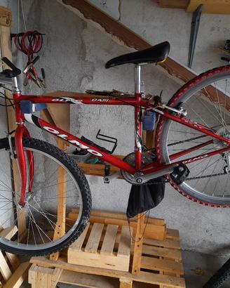 mountain bike mtb ragazzo.