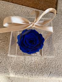 Rosa Stabilizzata in cubo plexiglas