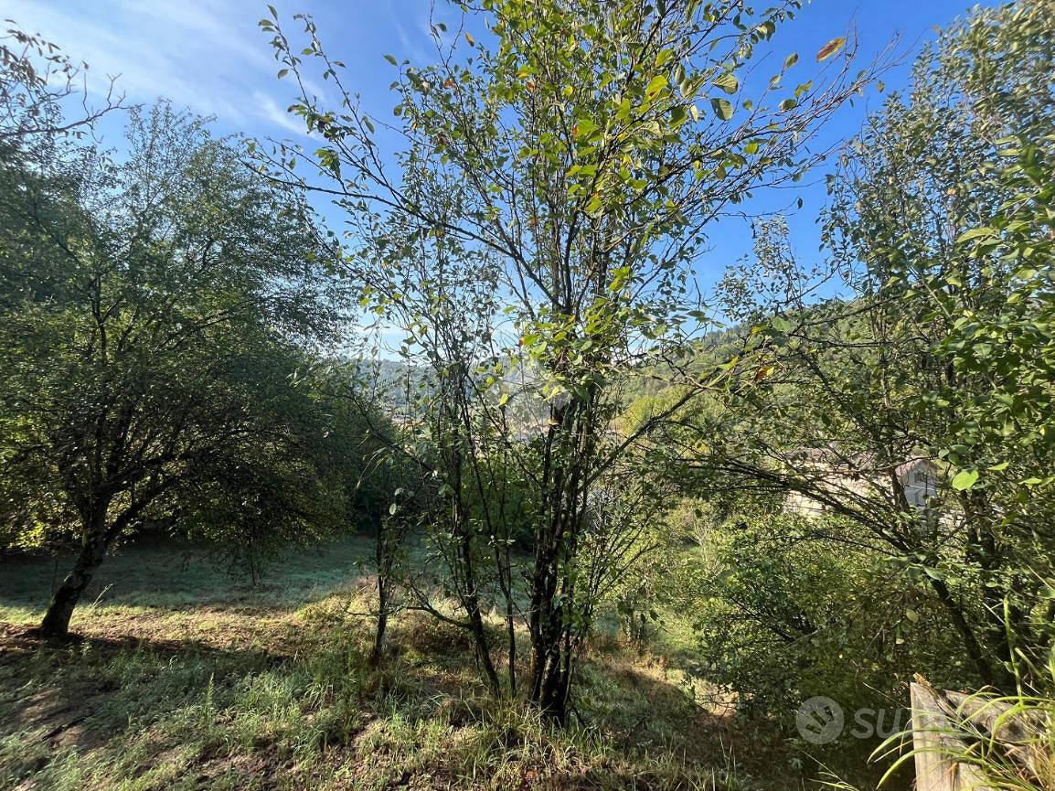 RUSTICO A SUBIACO - Altro