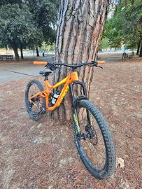 Giant reign 2020 enduro/freeride/dh