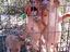 Immagine 4