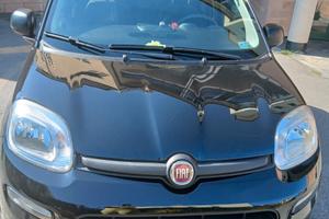 Fiat Panda 1.0 Hibrid CityLife 10/2023 27929 Km