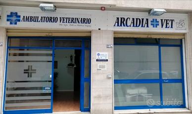 Locale commerciale sito in via brigata aosta 21