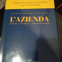 libro di economia aziendale