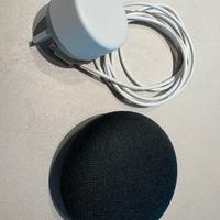 Google home mini