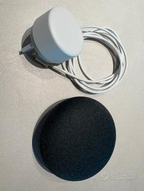Google home mini