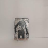 Resident Evil 6 Steelbook Xbox360